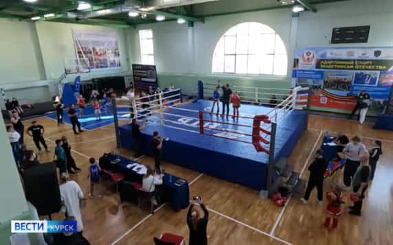 В Курске на прошлой недели прошли соренования по муай-тай и дзюдо