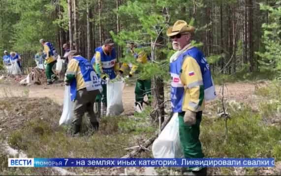 В Поморье в этом году ликвидировано 25 несанкционированных свалок