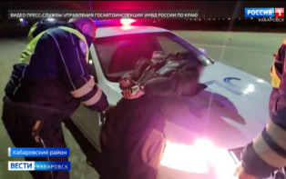 Пьяного лихача задержали на той же трассе, где накануне насмерть сбили ребёнка