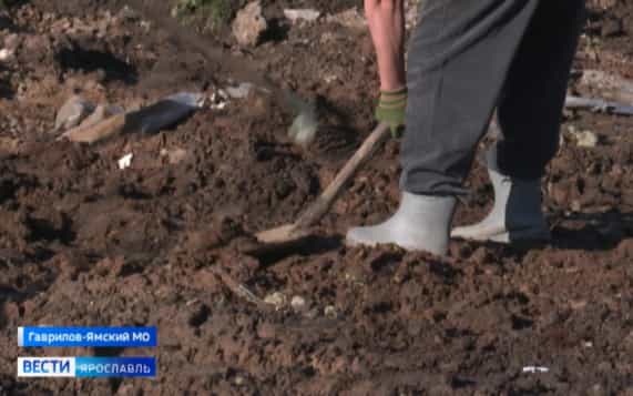 Эфир от 27.10.2026 (09:30)