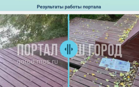 Искусственный интеллект внедрили в обновленную версию приложения "Наш город"