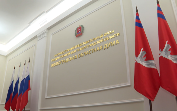 Вопросы молодежной дипломатии обсудили на круглом столе в Волгоградской облдуме