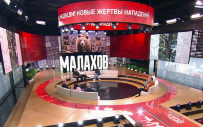 Медведи атакуют! Спасаться или спасать?