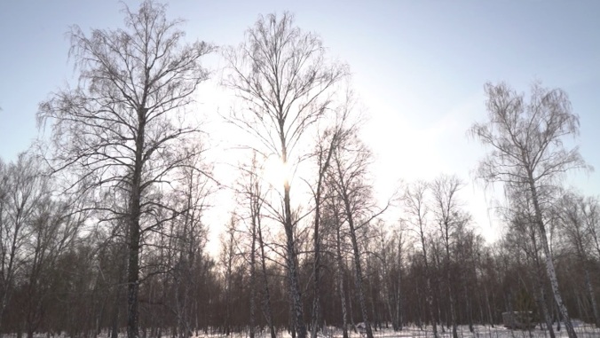 Эфир от 01.03.26