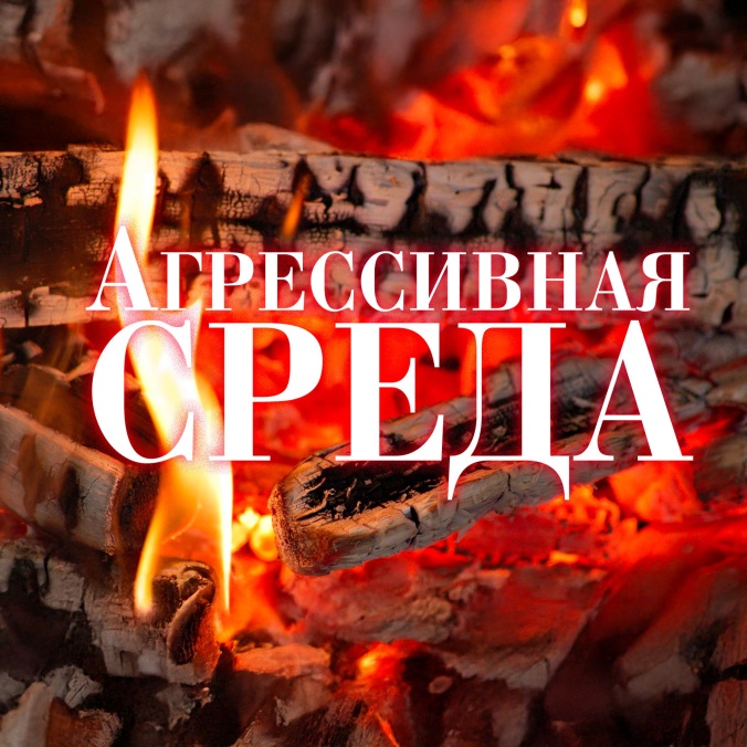 Агрессивная среда