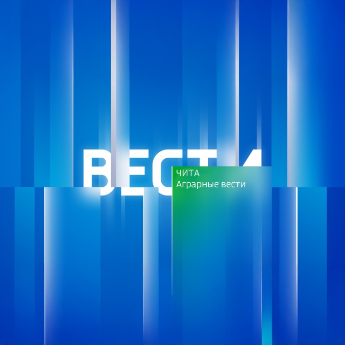 Аграрные вести. Чита