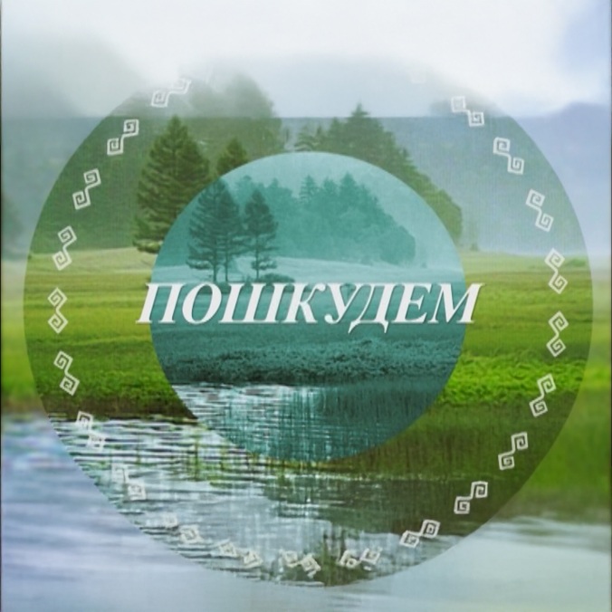 Пошкудем