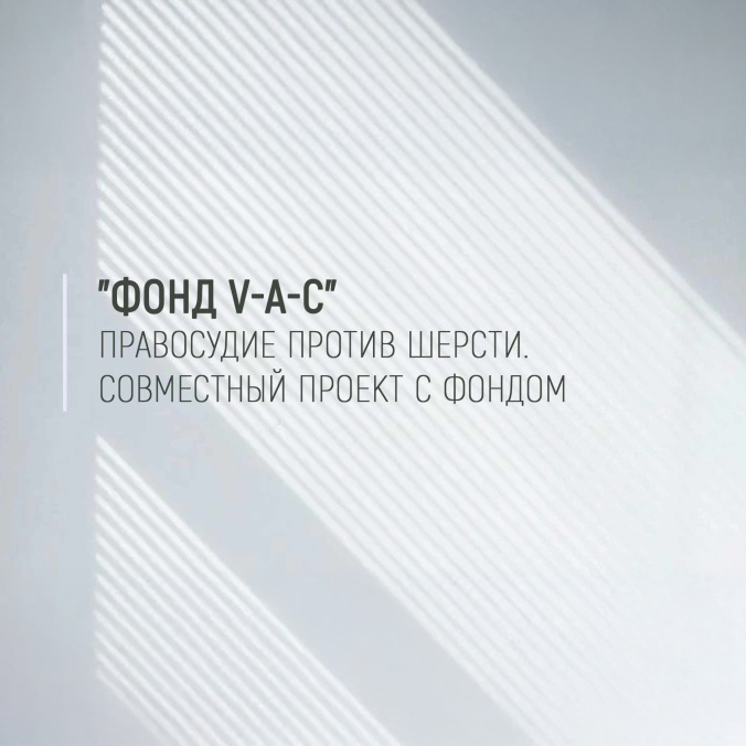 "От себя" кинофорум. "Клык"