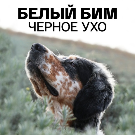 Часть 1. Двое в одной комнате