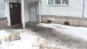 В красноярском Академгородке овчарка напала на пожилую женщину