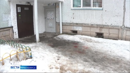 Глава Следкома затребовал доклад по делу о нападении овчарки на пожилую красноярку