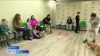 Хвостатые психологи: в Челябинске собаки помогают детям участников СВО